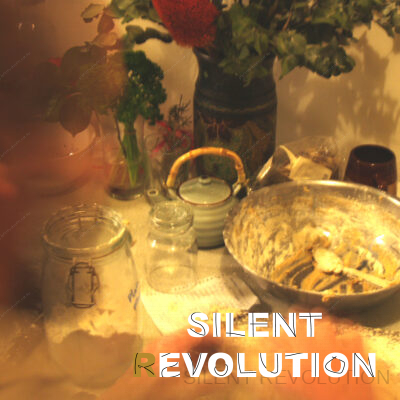 Silent Revolution exhibition 2007