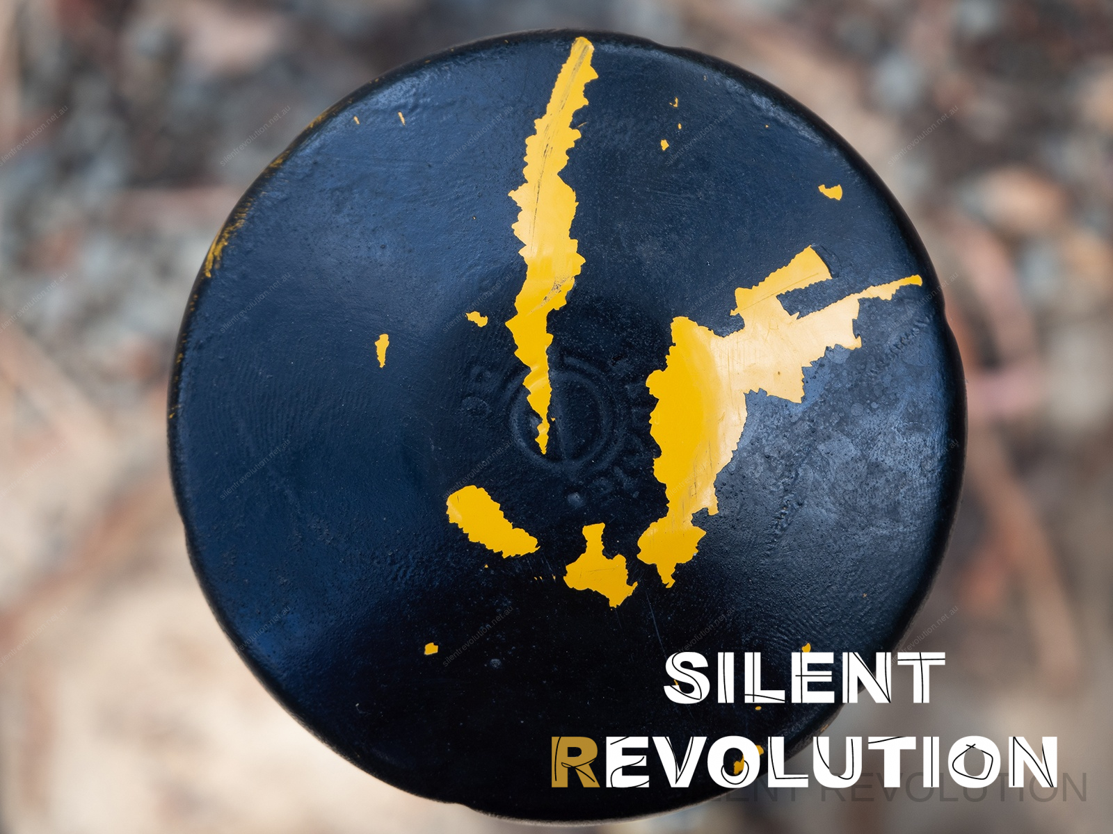 Silent Revolution