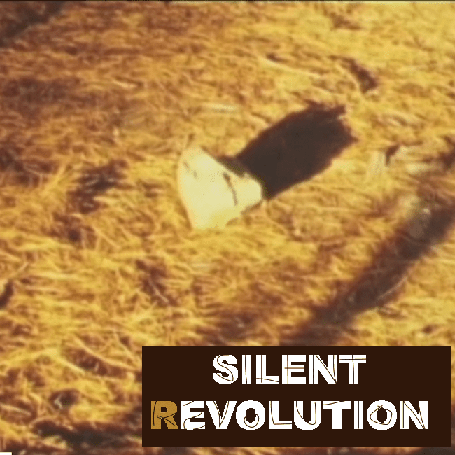 Silent Revolution film