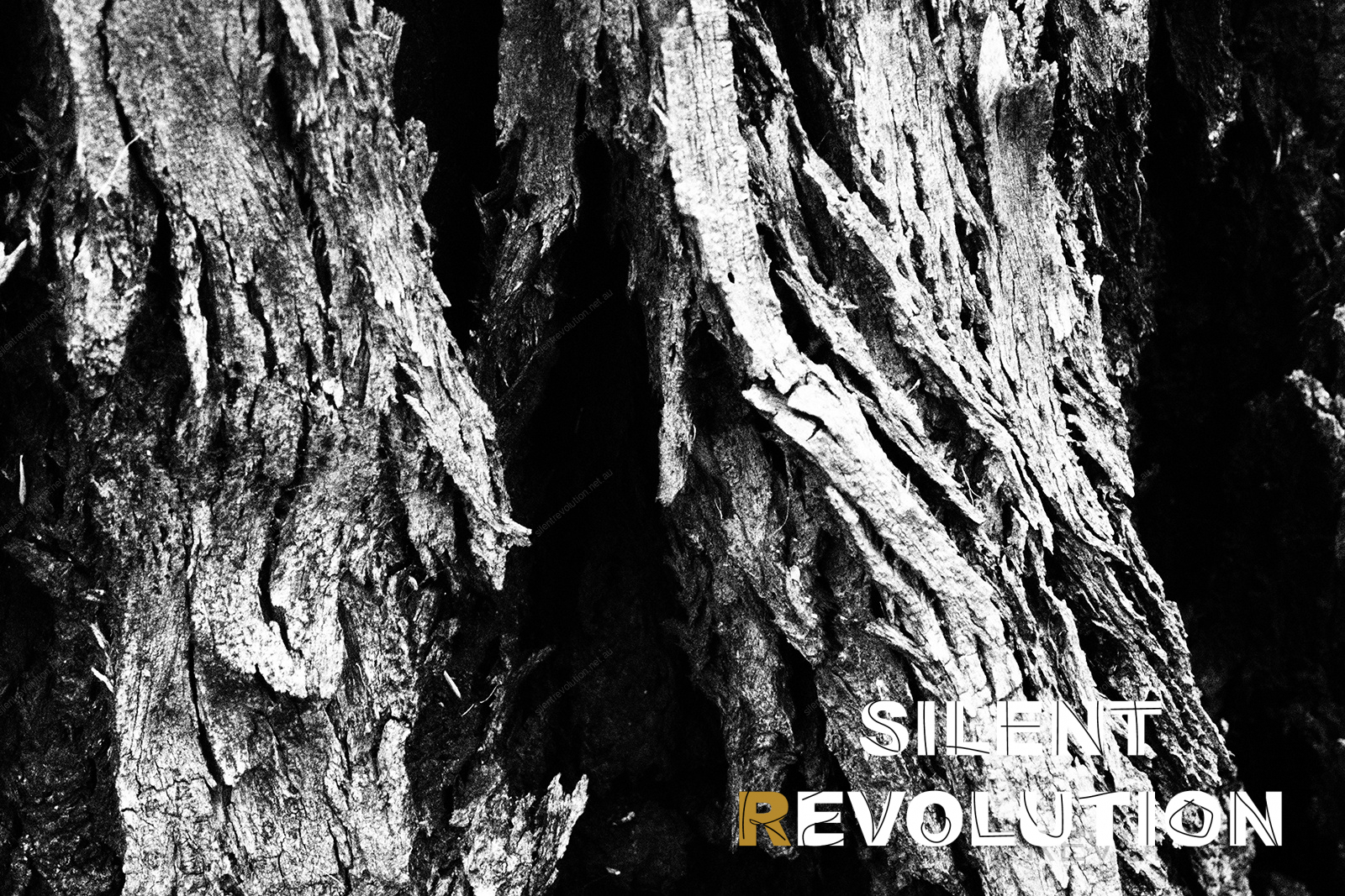 Silent Revolution – transforming from within