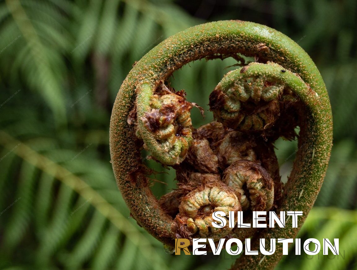 Silent Revolution